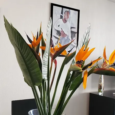 Cesaree Borghese, Port Frejus, Grand 2-3 Pieces, 4 Appartement *