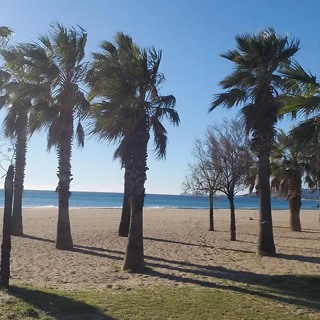 Cesaree Borghese, Port Frejus, Grand 2-3 Pieces, 4 Fréjus